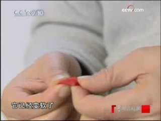 走近科学 真假太岁