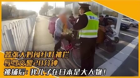 品人生百味第二季 大妈闯红灯被拦，竟辱骂威胁交警，大妈叫嚣：我儿子是日本大人物