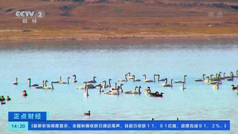 正点财经 《正点财经》 20221102 14:00