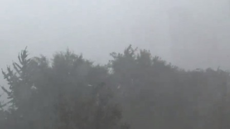 说天下 台风蓝色预警 山东辽宁河北天津等地沿海有6到8级大风