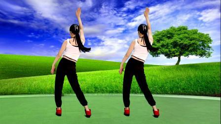 大众动感健身操，美背瘦腰《杏花落dj》背面演示