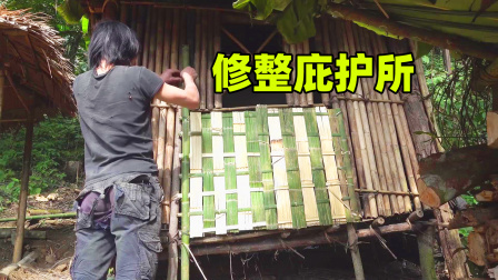 原始丛林人苏门答腊 第二季 荒野求生挑战，庇护所变得破烂不堪，需要进行简单维修
