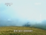地理中国 《地理中国》 20140618 乌蒙秘宝（下）