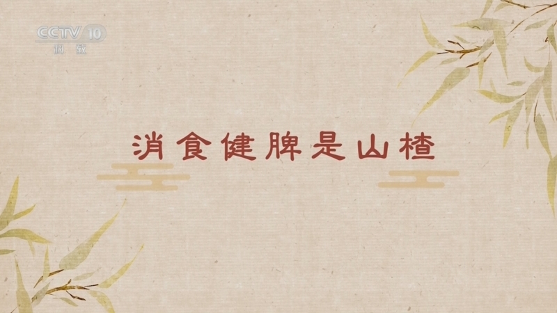 百家讲坛 《百家讲坛》 20250505 舌尖上的养生（第二部） 1 消食健脾是山楂