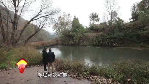 道德观察 《道德观察(日播版)》 20191227 汽车冲进池塘之后