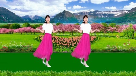 广场舞《两只蝴蝶》心醉优美，32步附教学