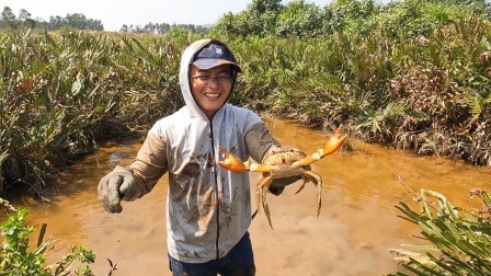思乡渔夫赶海 秘密赶海菜地的螃蟹没人敢来抓，渔夫闷声发大财！螃蟹抓到手软