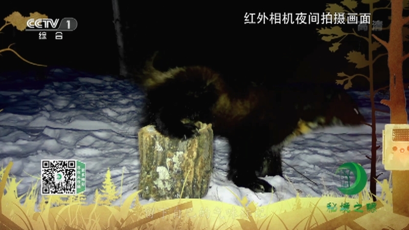 秘境之眼 《秘境之眼》 貂熊 20220520