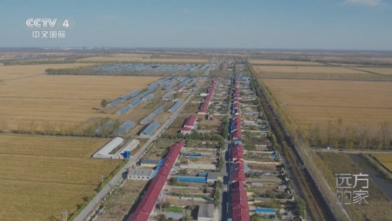 《远方的家》 20251024 山河锦绣看中国 辽东湾畔好“丰”景