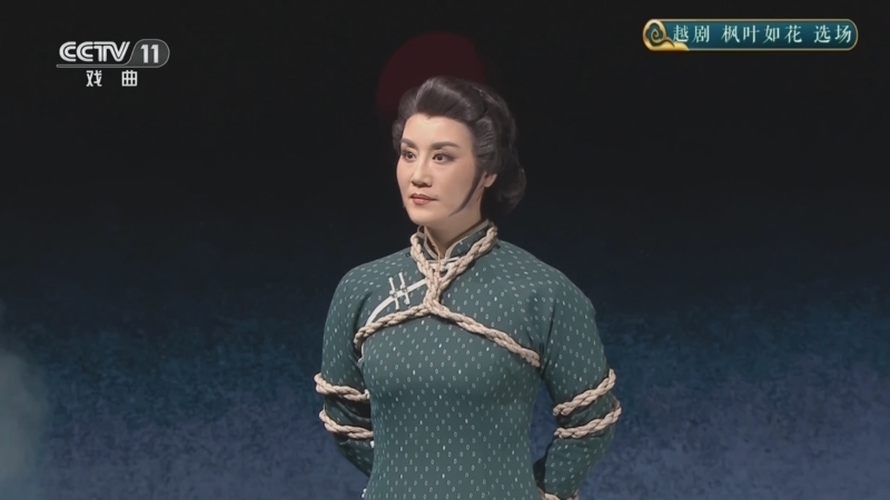 CCTV空中剧院 《CCTV空中剧院》 20251215 越剧《枫叶如花》选场