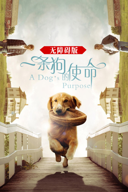 一条狗的使命 无障碍版