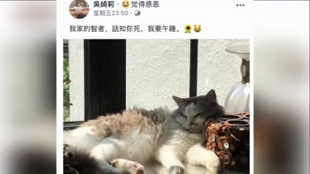 嘻嘻娱乐 2017 11月 吴绮莉深夜发浴袍美照 把自己比作受害者 疑抱怨小龙女不争气 171126