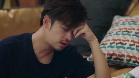 鳄鱼与牙签鸟：精彩放送 前方高能请查看！
