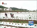 贵州新闻联播 《贵州新闻联播》 20180520