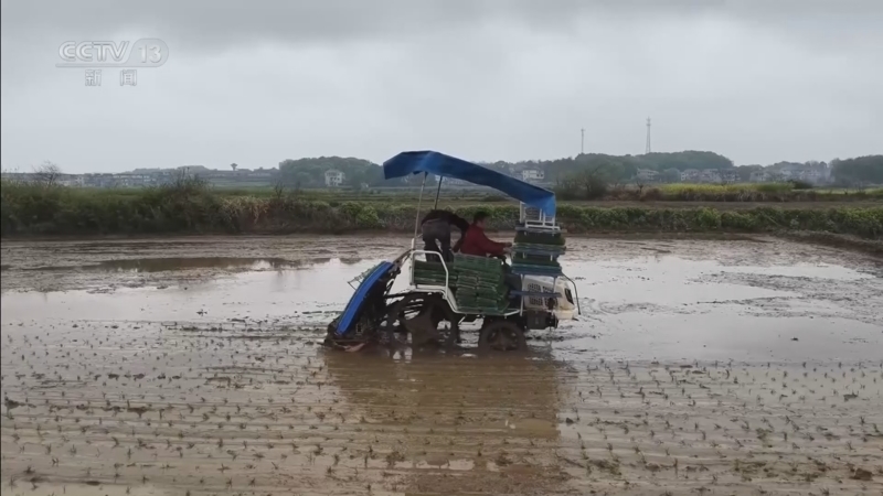 《朝闻天下》 20260410 08:00