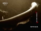 动物世界 《动物世界》 20171211 动物猎手夜行记