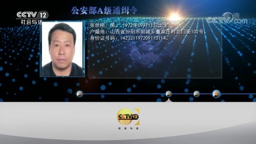 天网 《天网》 20190529 暗夜里的枪口