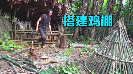 原始丛林人苏门答腊 第二季 丛林野外生存日记，为鸡搭建草棚，抵御寒风暴雨！