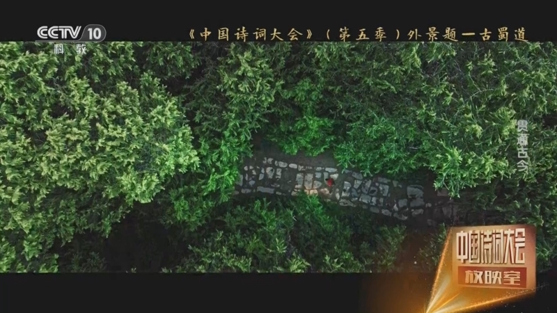 中国诗词大会放映室 《中国诗词大会放映室》 20240805 贯通古今