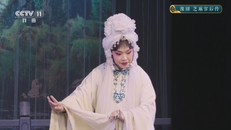 CCTV空中剧院 《CCTV空中剧院》 20241108 豫剧《芝麻官后传》