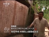 焦点访谈 《焦点访谈》 20171005 这五年：记住乡愁留住根