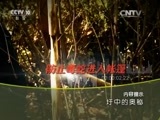 地理中国 《地理中国》 20150904 圩中的奥秘