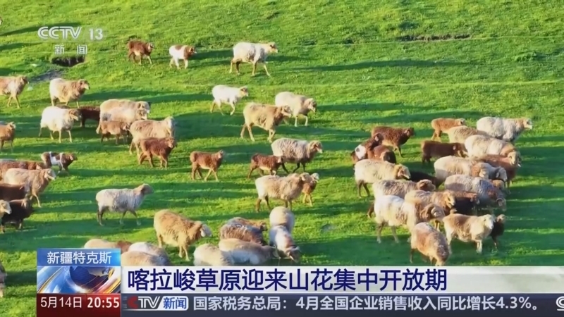 东方时空 《东方时空》 20250514