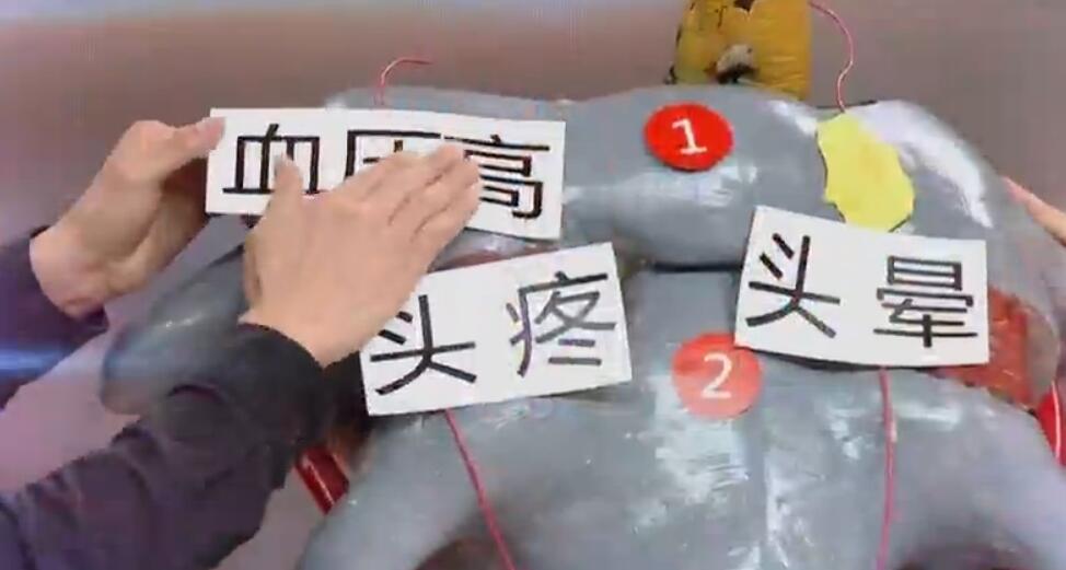 健康之路 《健康之路》 20191111 骨正一身轻（一）