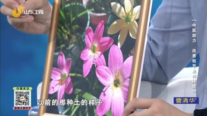 大医本草堂 中医助力 改善结节息肉体质
