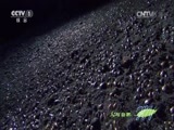 人与自然 《人与自然》 20150309 自然发现：我们的地球——洞穴（上）