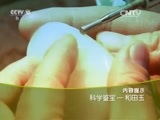 走近科学 《走近科学》 20160330 科学鉴宝—和田玉