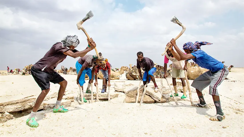 《侣行·翻滚吧非洲》第2期