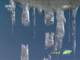 人与自然 《人与自然》 20160215 冰冻星球—最后的疆域（上）