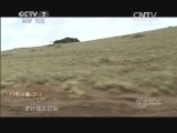 军事纪实 《军事纪实》 20140828 铁拳出击-“和平使命-2014”联合军演纪实③