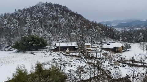 小强热线20210119