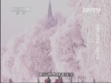 地理中国 《地理中国》 20130518 冰雪下的秘密·神奇冰花