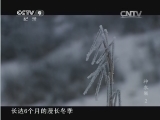 《人文地理》 20150616 神农架 第二集 生生不息