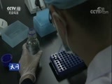 天网 《天网》 20171221 谁上了他的车