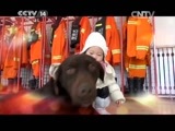 英雄出少年 《英雄出少年》 20150426 周末满天星