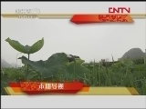 远方的家 《远方的家》 20120122 向往田园