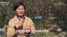 致富经 [致富经]小媳妇回娘家 两年成百万富姐 20181214