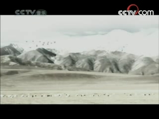 民歌&middot;中国 民歌·中国 2008年 第126期