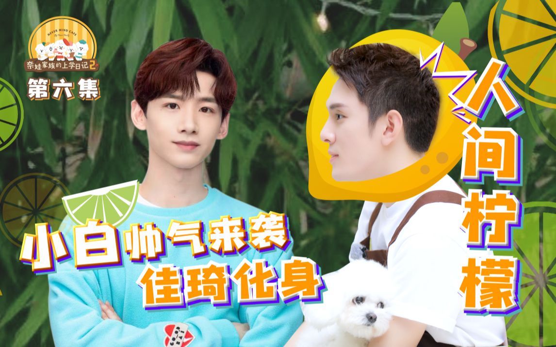 “在逃王子”白敬亭超高人气来袭！小李真的太酸了～