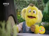 芝麻开门【央视】 《芝麻开门》 20180604 动物好伙伴