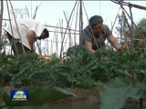 新闻联播 《新闻联播》 20160606 19:00