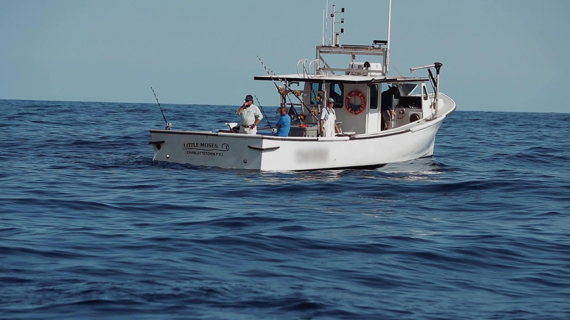 大鱼传说第一季 第4集