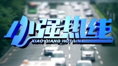 小强热线 小强热线20150108