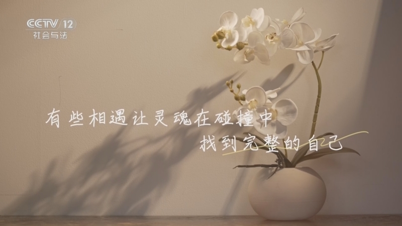 剧懂人心 《剧懂人心》 20260502 《我的后半生》
