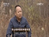 致富经 《致富经》 20151125 深山老林里的林蛙财富