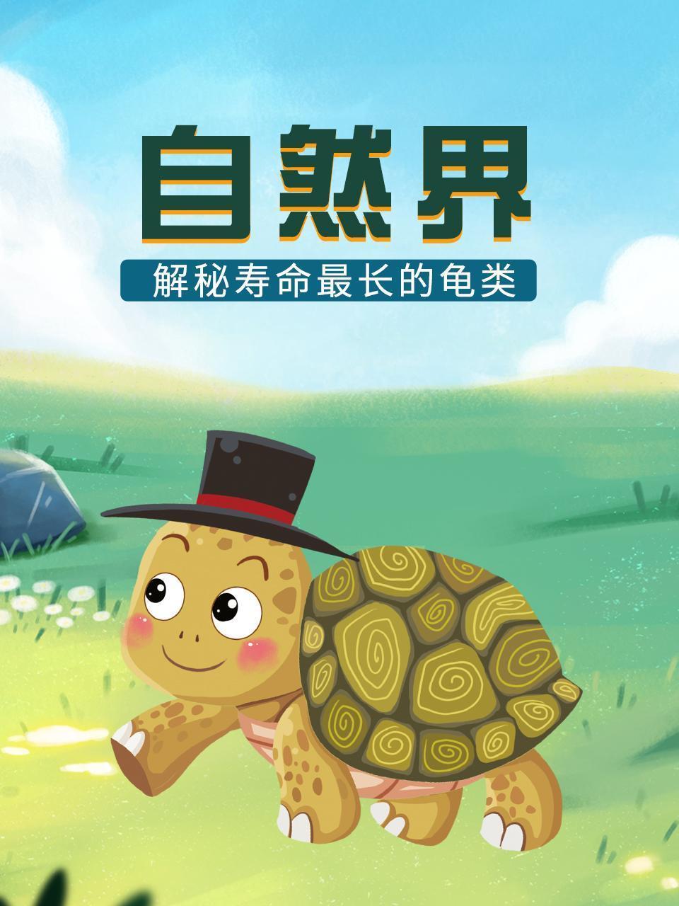 自然界：解秘寿命最长的龟类